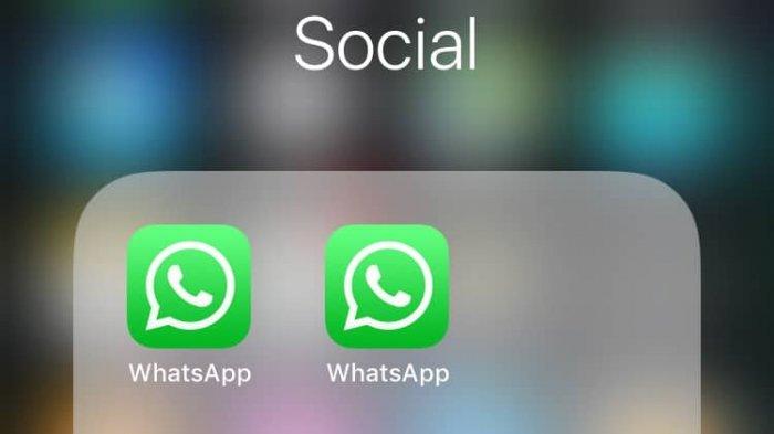 Berikut Tips Menggunakan 2 Akun WhatsApp Sekaligus Dalam 1 HP