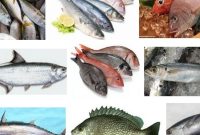 Berikut yang merupakan jenis-jenis ikan air tawar